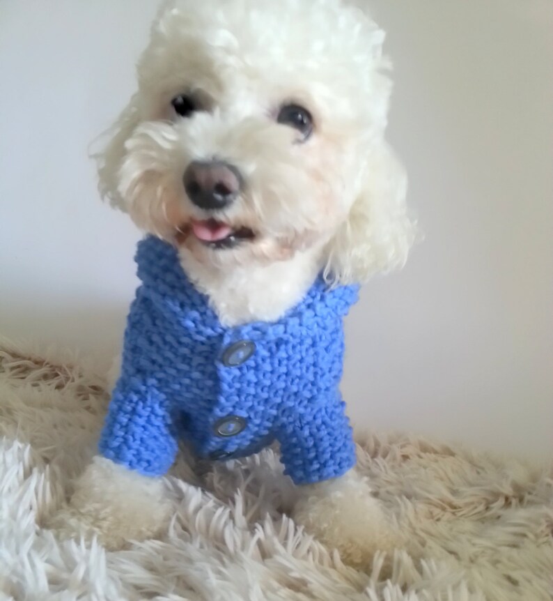 Dog Hoodie Sweater Blue Pet Clothing Hand Knit Dog Clothes Etsy
