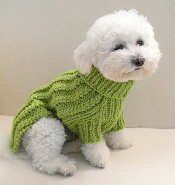 Green Dog Sweater Hand Knit Chihuahua Sweater Small Dog Clothes Pet Sweater  Warm Puppy Sweater Dog Knitwear Dog Sweaters Medium Dog Sweater - Etsy