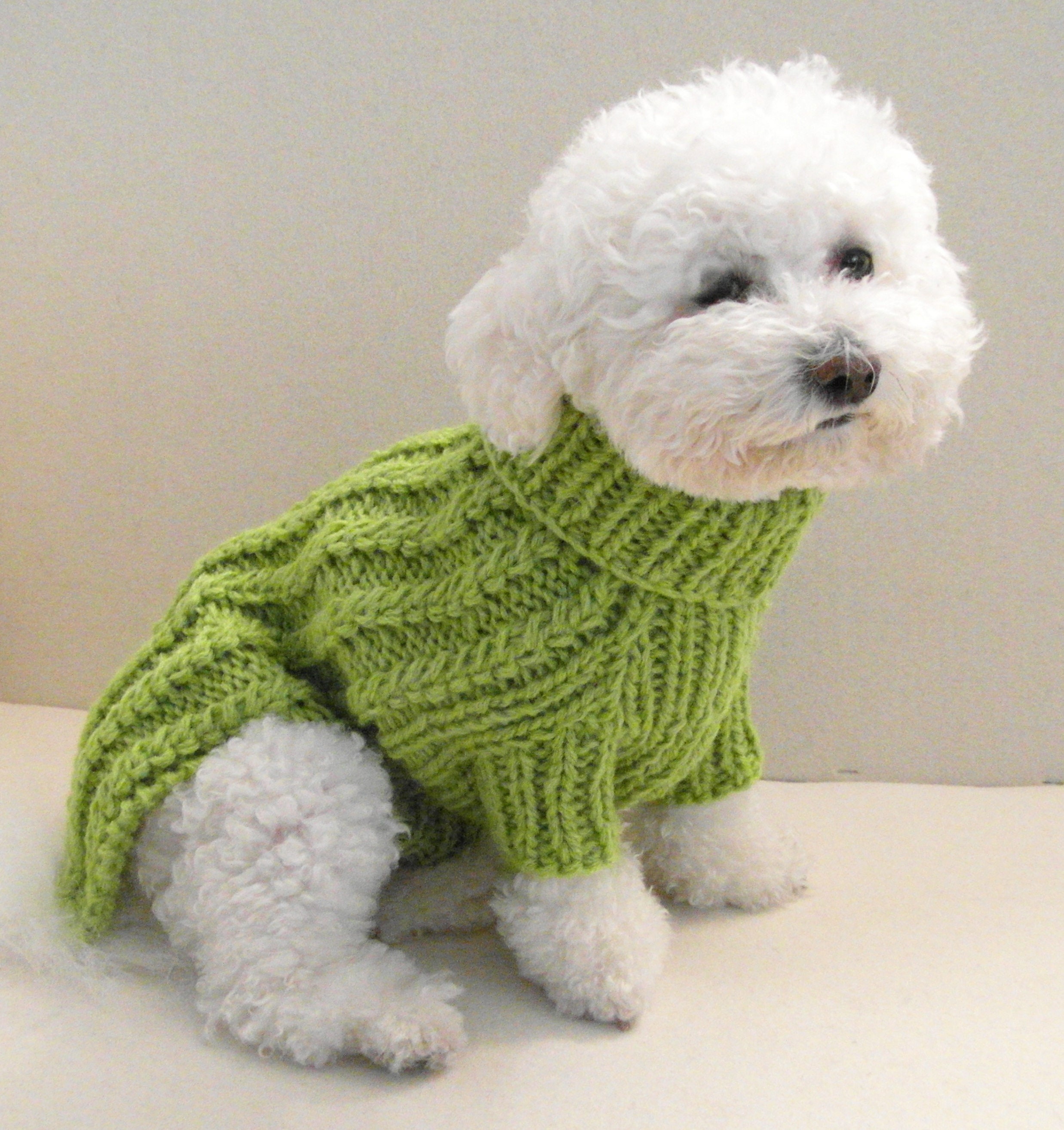 Green Dog Sweater Hand Knit Chihuahua Sweater Small Dog - Etsy