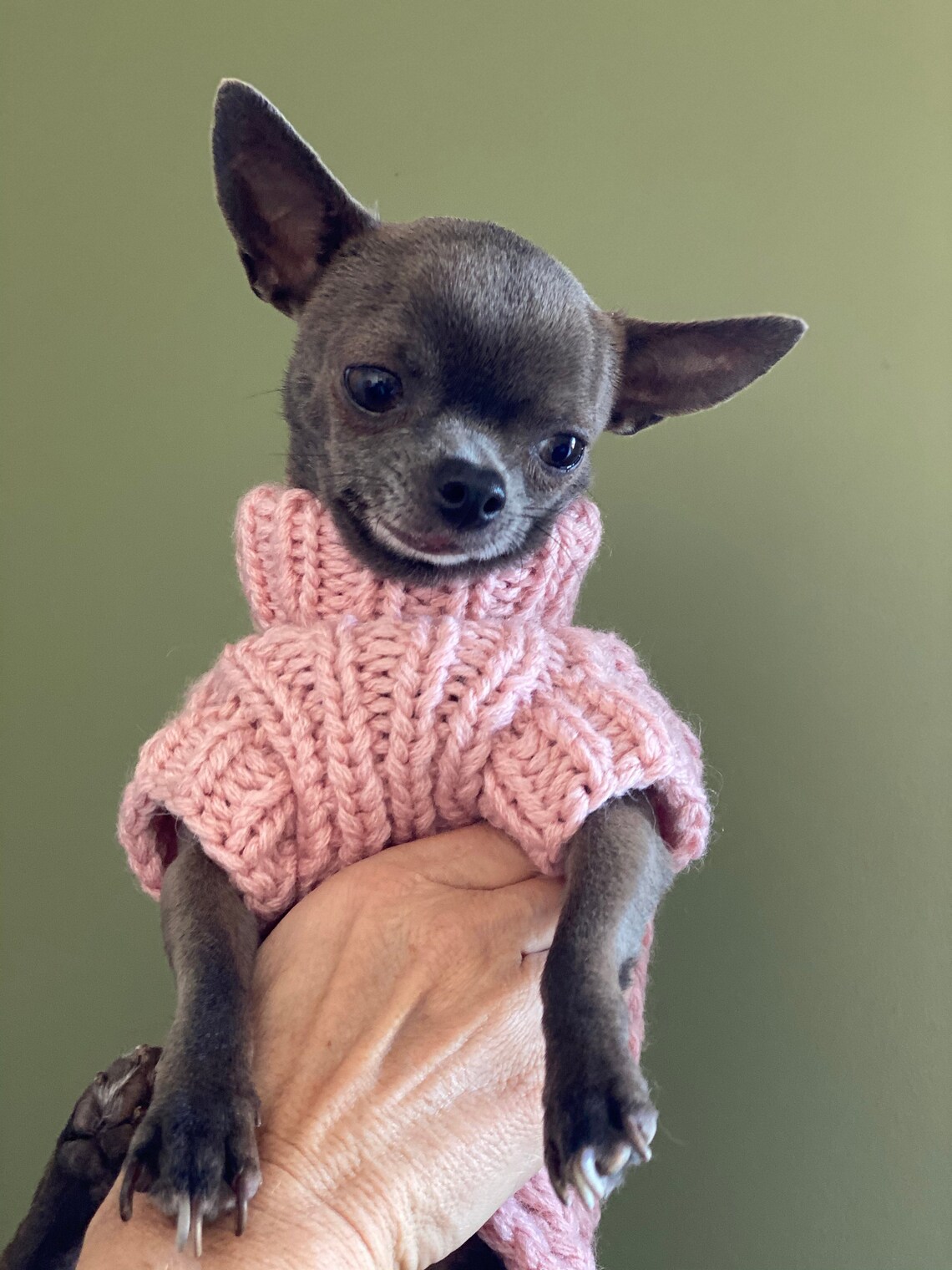Cable Dog Sweater Chihuahua Clothes Pet clothing Small Etsy