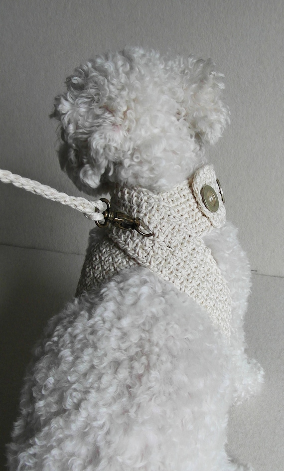 harness friendly dog sweater