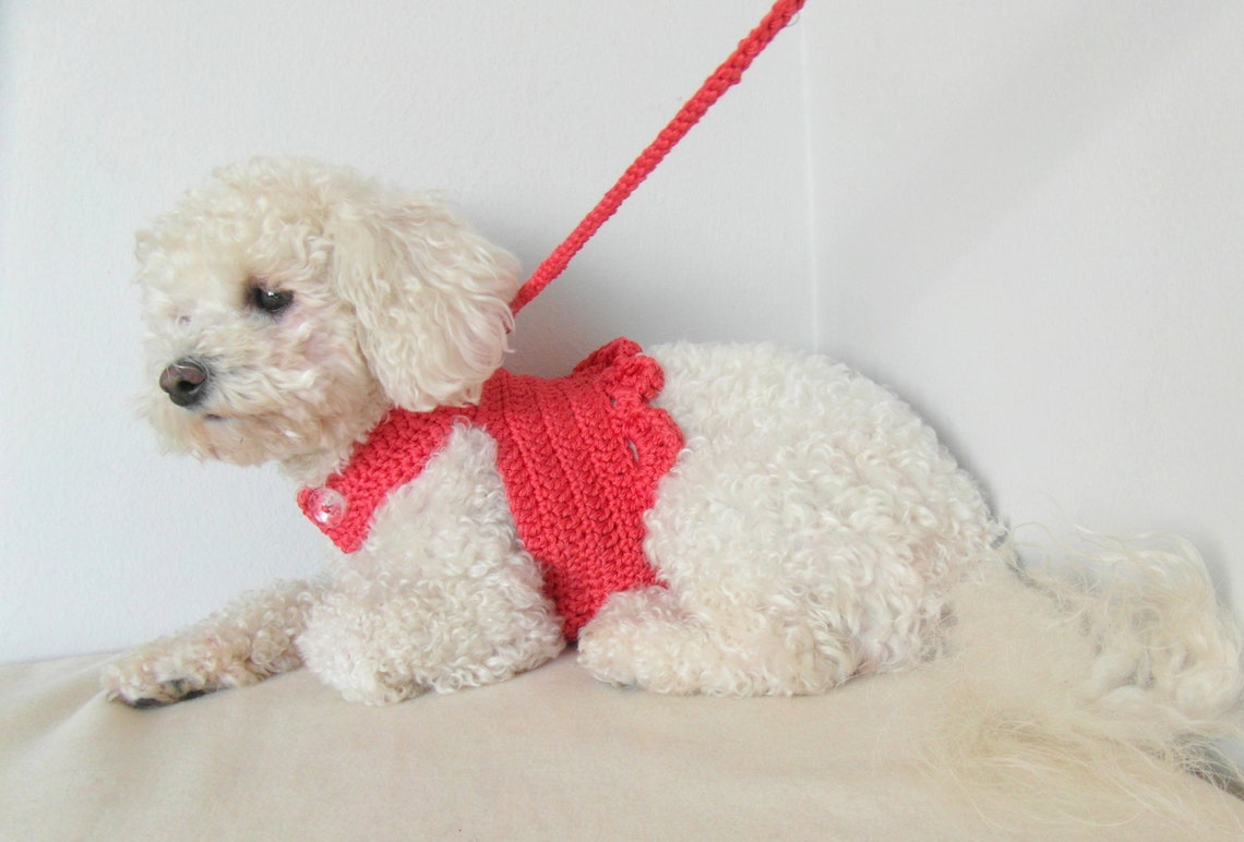 Handmade Dog Harness crochet pet harness from 100 cotton Etsy