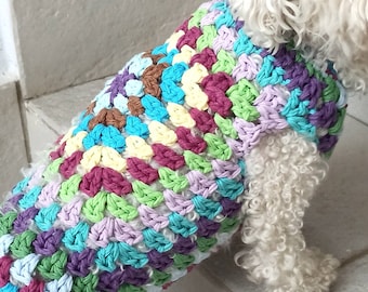 Granny Dog Sweater \\ Small dog sweater \\ Colorful dog sweater \\ Crochet dog sweater \\ Handmade dog clothes - Puppy sweater - BubaDog