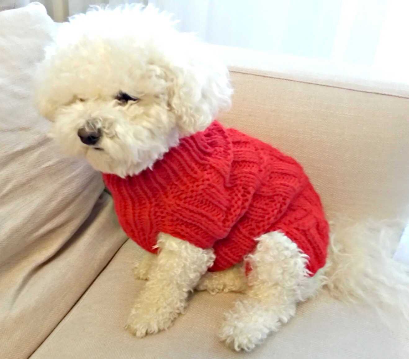 red dog sweater
