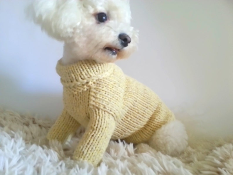 Pastel Dog Sweater. Handmade Dog Clothes. Pet Clothing. Hand Etsy