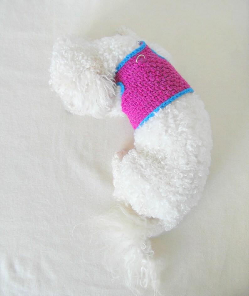 Crochet DOG Harness Dog Harness Vest Matching Leash Pets Etsy