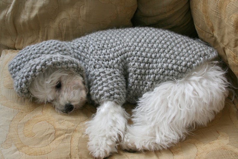 Dog Hoodie Sweater Blue Pet Clothing Hand Knit Dog Clothes Etsy