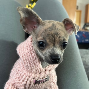 XXS Dog Hoodie Sweater \\ Personalized Dog Sweater \\ Pet Clothing