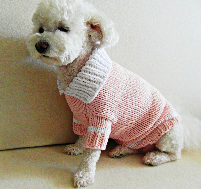Свитер для маленькой собачки. Вязаная одежда для собачек. Вязаная одежда для собак. Вязаная одежда для маленьких собак. Вязаная одежда для собак.