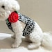 see more listings in the DOG HARNESSES section