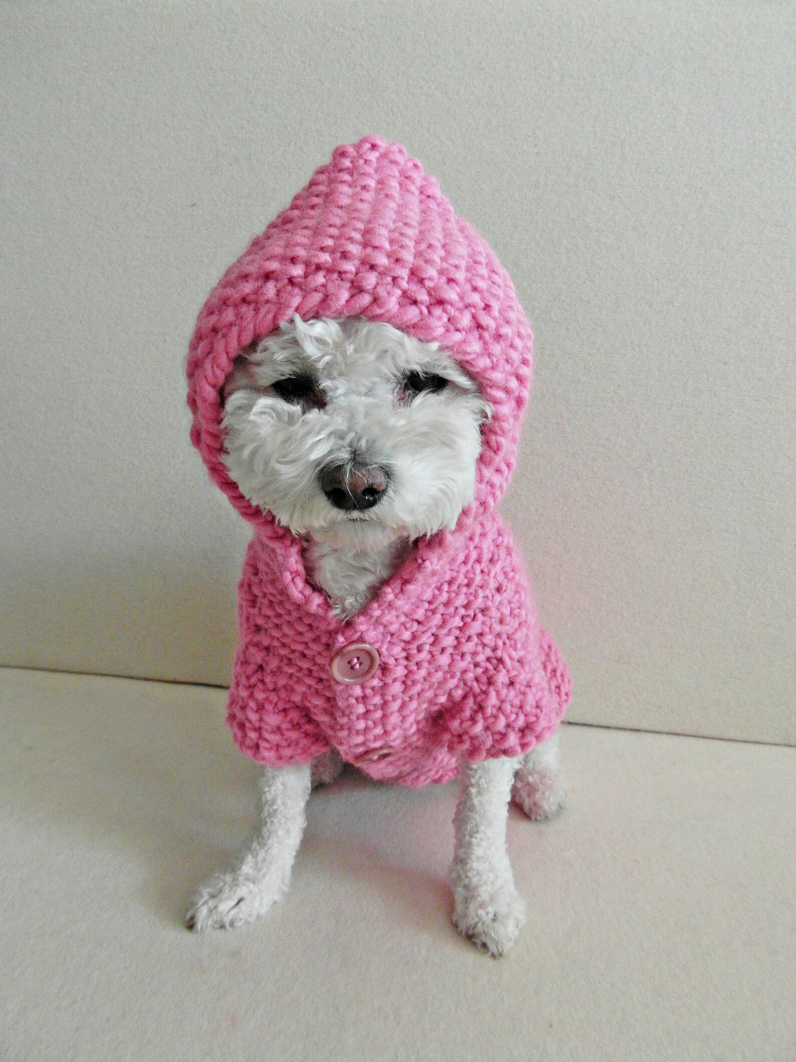 Dog Pink Hoodie Sweater Hand Knit Pet Clothing Small Dog Etsy