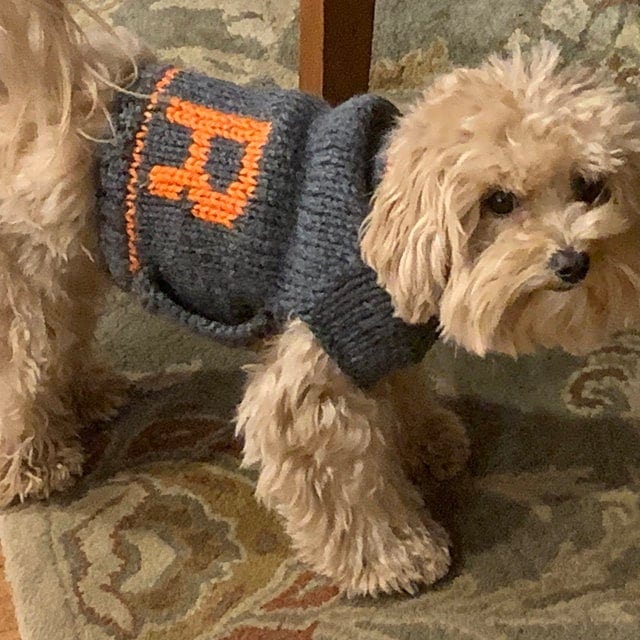 monogrammed dog sweaters