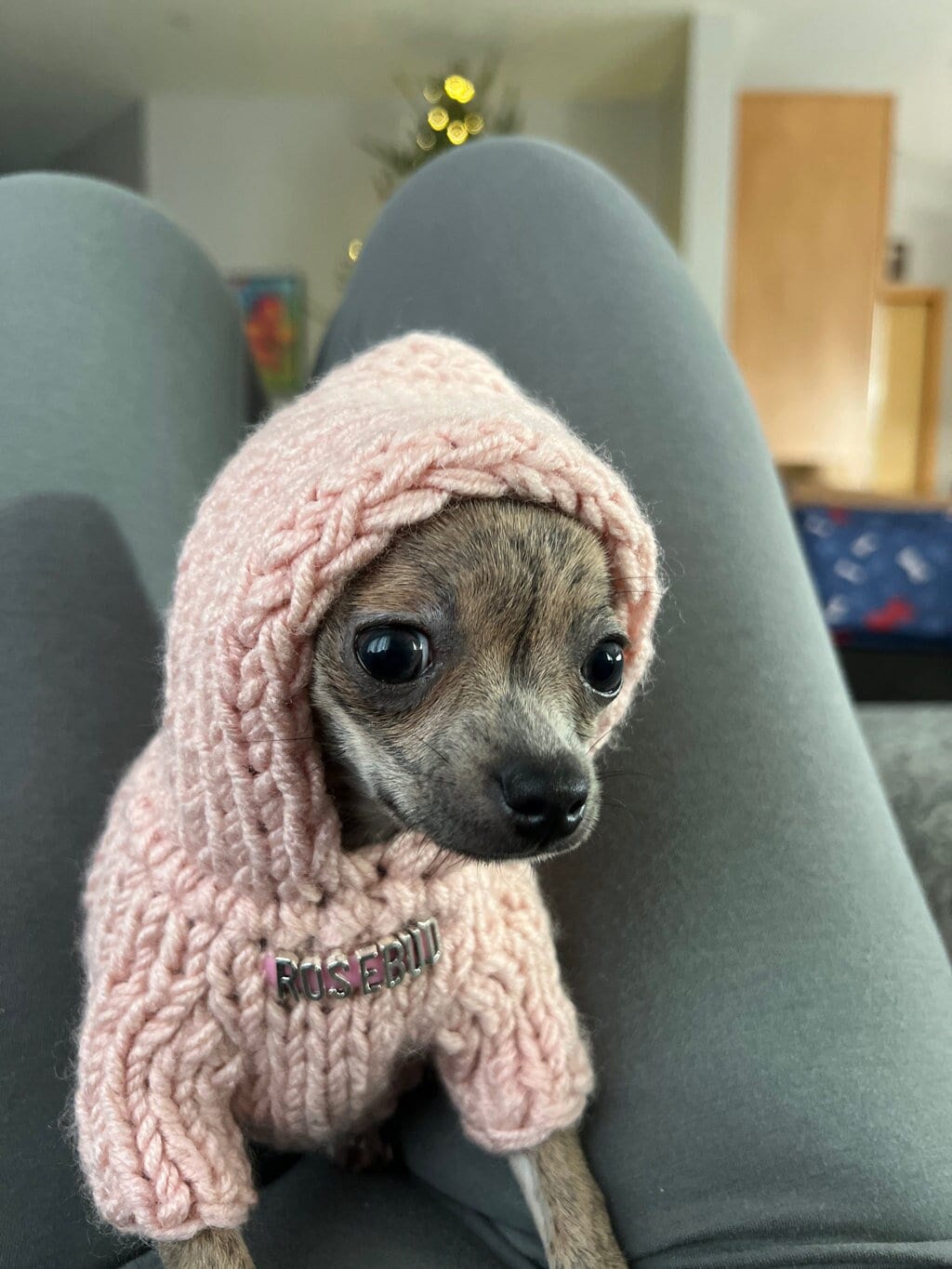 Ropa Tejida Sueter Perro Chihuahua Suéteres Para Perros, Ropa