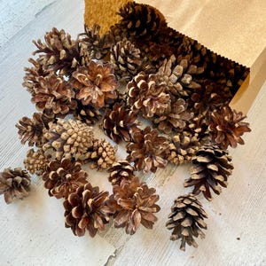 Small Natural Pine Cones: DIY Crafting, Rustic Decor (25 or 50 Pack, 1-2 Inch )