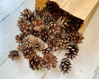 Small Natural Pine Cones: DIY Crafting Holiday Rustic Decor (25, 35 or 50 Pack, 1-2 Inch )
