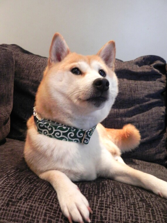 Popular Japanese Karakusa Dog Collar Shiba Inu Dog Collar Green And White Dog Collar Ethnic Handmade In Spain Green Karakusa Ii