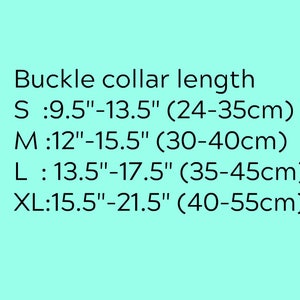 Pu&ograve; includere: Testo su sfondo verde acqua che elenca le misure della lunghezza del collare con fibbia. Taglie: S: 24-35cm, M: 30-40cm, L: 35-45cm e XL: 40-55cm.