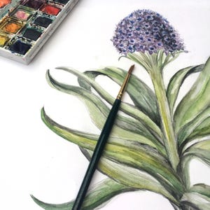 May include: Watercolor painting of a purple flower with green leaves and a paintbrush. A palette of watercolors in various colors is in the upper left corner. The artwork is on white paper.