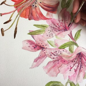 Op de afbeelding: Aquarel schilderij van roze en rode tijgerlelies met groene bladeren. De bloemen hebben donkere vlekken en bevinden zich in verschillende stadia van bloei. Een hand die een penseel vasthoudt is zichtbaar en voegt details toe aan de bloemblaadjes.