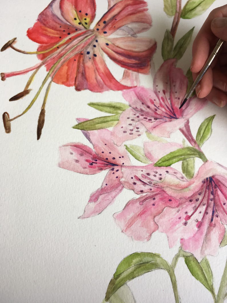 Op de afbeelding: Aquarel schilderij van roze en rode tijgerlelies met groene bladeren. De bloemen hebben donkere vlekken en bevinden zich in verschillende stadia van bloei. Een hand die een penseel vasthoudt is zichtbaar en voegt details toe aan de bloemblaadjes.