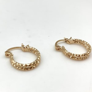 Gold Glittery Hoop Small Earrings L// Gold Small Hoops // Gold Hoops // 18k Goldfill // Gold Earrings // Non Tarnishing