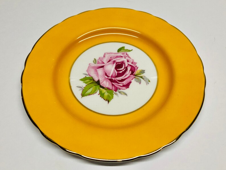 Vintage RARE Aynsley Large Pink Cabbage Roses Yellow Bread and Butter Plate 6 14 Made in England