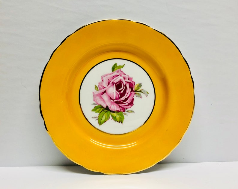 Vintage RARE Aynsley Large Pink Cabbage Roses Yellow Bread and Butter Plate 6 14 Made in England