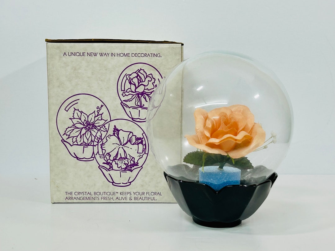Vintage Glass Globe Flower Aquarium Water Bubble for Fresh Flowers