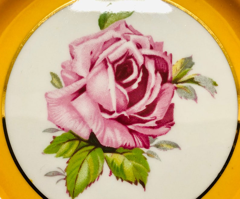 Vintage RARE Aynsley Large Pink Cabbage Roses Yellow Bread and Butter Plate 6 14 Made in England