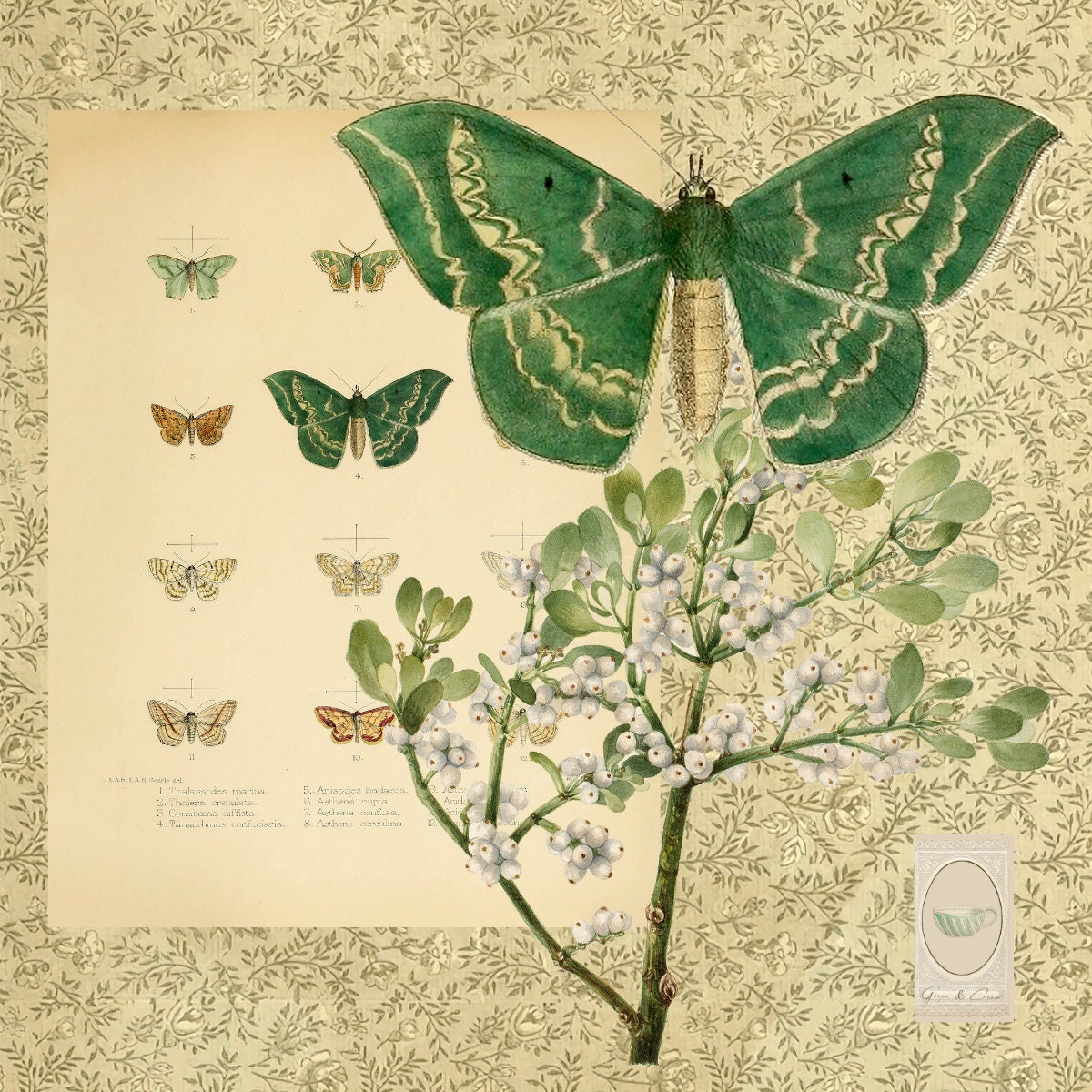 Green and Cream Kitchen Towel Vintage Inspired Collage of Spring