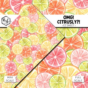 OMG Agrumes || EZ SHEET • Vinyle imprimé || Mini impression disponible