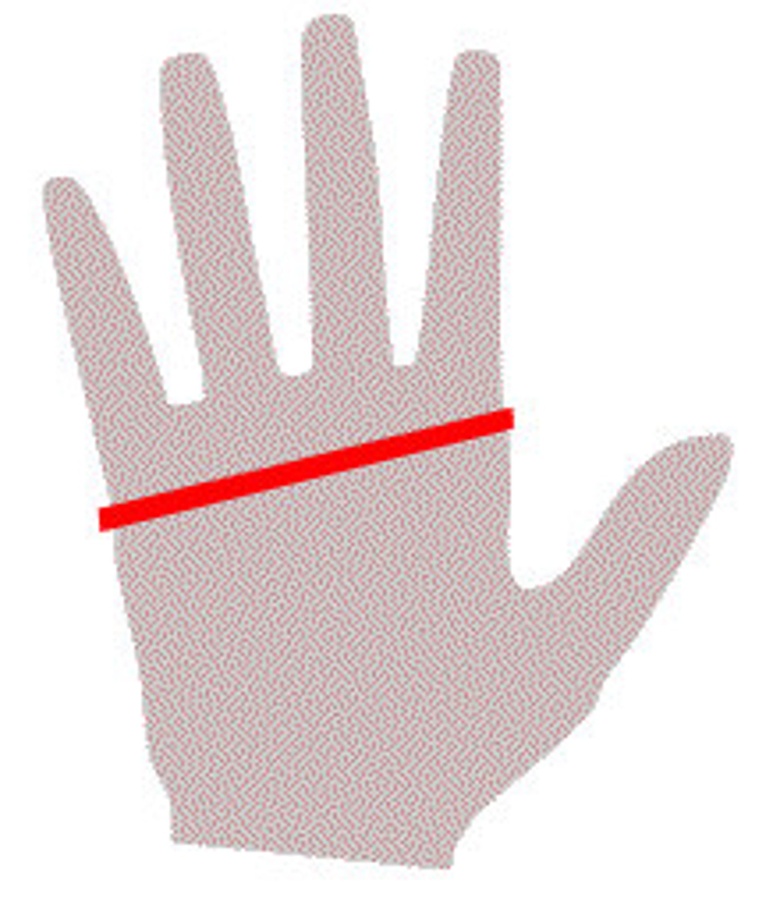 PREMIUM Latex Gloves Elbow Mid Length Unisex 1108m FREE Etsy