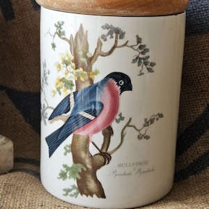 Charming Rare French-found Vintage PORTMEIRION Birds of Britain Small Size BULLFINCH Cylindrical Storage Jar-English Storage Jar-c.1977.....