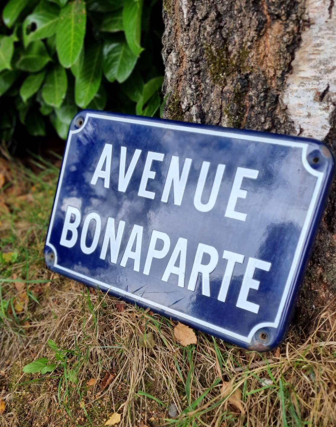 Iconique Vintage Français