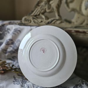 Häpnadsväckande 1800-tals antika franska Assiette / Tallrik - Modell 'Rambouillet' de K & G Luneville en Terre de Faïence Rose / Rosa och vita fåglar... bild 7