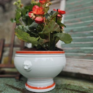 RARE Large Orange Banded White Vintage French Porcelaine Soup Tureen-Lion Head Handles,Grand Soupière Tête de Lion Porcelaine Blanche