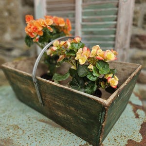 Könnte beinhalten: Ein rechteckiger, verwitterter Holzpflanzkasten mit einem Metallgriff, gefüllt mit leuchtend orangefarbenen und gelben Blumen. Der Kasten hat eine grüne Lackierung mit Used-Look, was auf eine antike oder rustikale Ästhetik hindeutet. Die Blumen blühen.