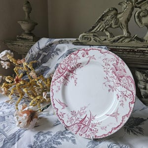 Häpnadsväckande 1800-tals antika franska Assiette / Tallrik - Modell 'Rambouillet' de K & G Luneville en Terre de Faïence Rose / Rosa och vita fåglar... bild 6