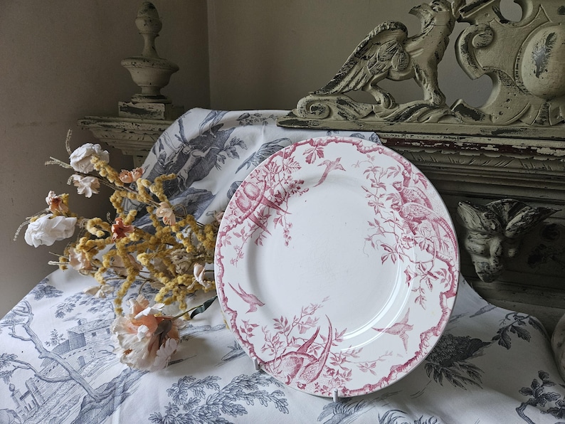 Häpnadsväckande 1800-tals antika franska Assiette / Tallrik - Modell 'Rambouillet' de K & G Luneville en Terre de Faïence Rose / Rosa och vita fåglar... bild 6