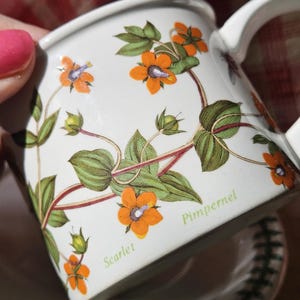 Può includere: Servizio da tè in ceramica bianca con un design botanico di fiori arancioni, foglie verdi e la scritta "Scarlet Pimpernel". La tazza ha un manico curvo e il piattino presenta un motivo a foglie verdi.