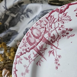 Häpnadsväckande 1800-tals antika franska Assiette / Tallrik - Modell 'Rambouillet' de K & G Luneville en Terre de Faïence Rose / Rosa och vita fåglar... bild 10