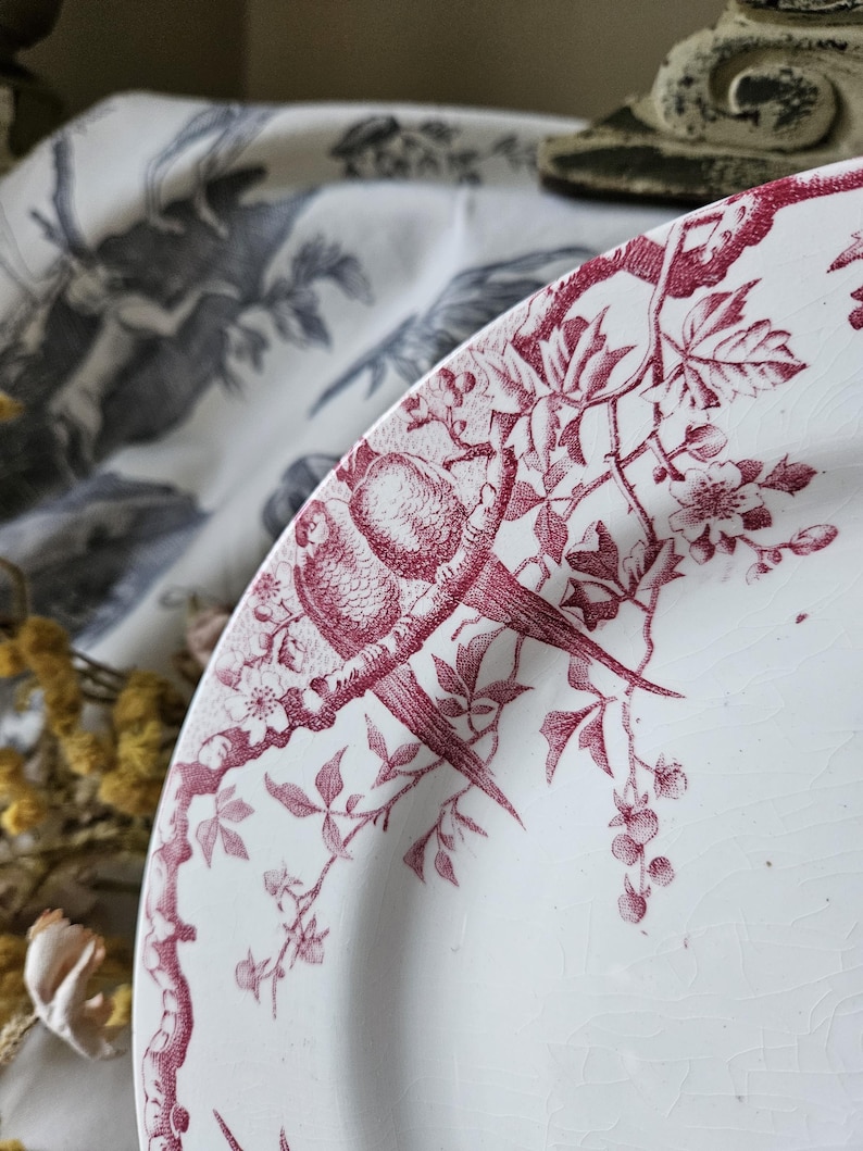 Häpnadsväckande 1800-tals antika franska Assiette / Tallrik - Modell 'Rambouillet' de K & G Luneville en Terre de Faïence Rose / Rosa och vita fåglar... bild 10