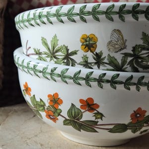 Seltenes Paar in Frankreich gefundene Vintage PORTMEIRION Botanischer Garten Petit Dejeuner Schalen / kleine Küchenschalen-Fabelhaftes englisches Porzellan um 1972