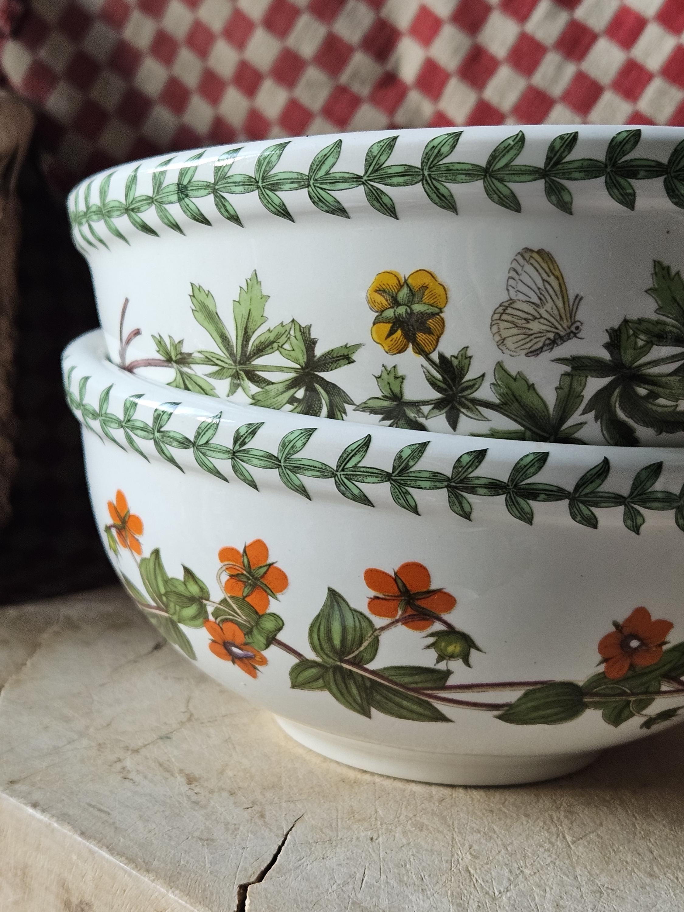 RARE Pair French-found Vintage PORTMEIRION Botanic Garden Petit