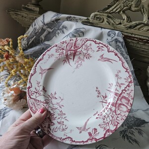 Häpnadsväckande 1800-tals antika franska Assiette / Tallrik - Modell 'Rambouillet' de K & G Luneville en Terre de Faïence Rose / Rosa och vita fåglar... bild 3
