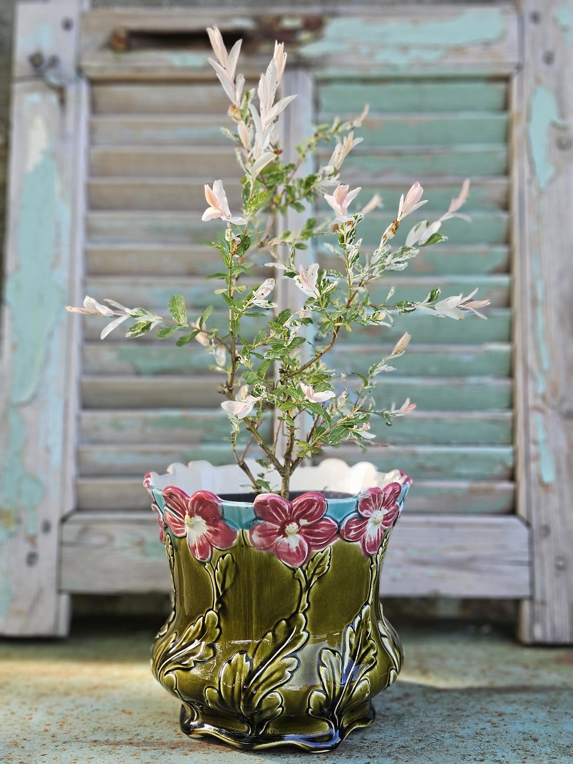 Sarreguemines Jardiniere - Etsy