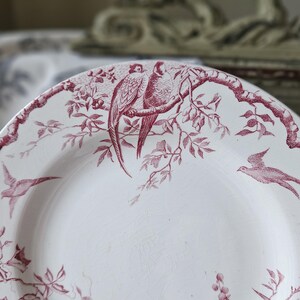 Häpnadsväckande 1800-tals antika franska Assiette / Tallrik - Modell 'Rambouillet' de K & G Luneville en Terre de Faïence Rose / Rosa och vita fåglar... bild 4