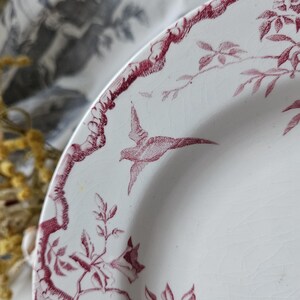 Häpnadsväckande 1800-tals antika franska Assiette / Tallrik - Modell 'Rambouillet' de K & G Luneville en Terre de Faïence Rose / Rosa och vita fåglar... bild 8