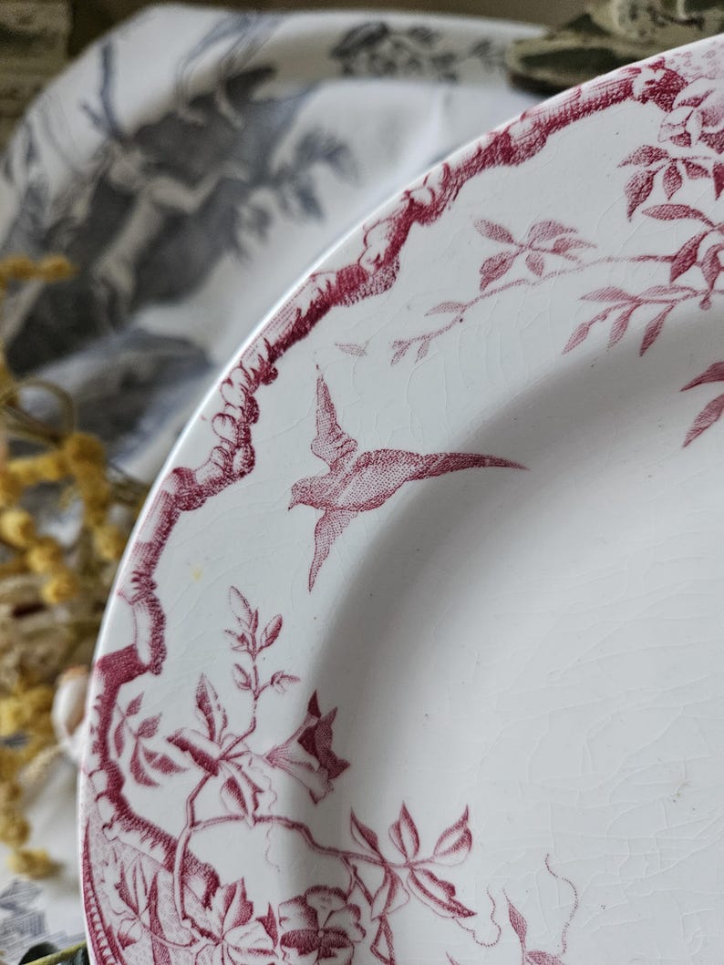 Häpnadsväckande 1800-tals antika franska Assiette / Tallrik - Modell 'Rambouillet' de K & G Luneville en Terre de Faïence Rose / Rosa och vita fåglar... bild 8