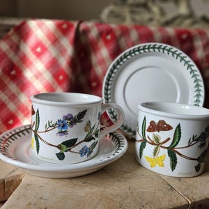Rare PAIR French-found Vintage PORTMEIRION Botanic Garden SPEEDWELL English Porcelain Teacups & Saucers-1972-Versatile pieces-Use or Display